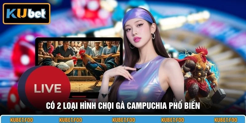 Có 2 loại hình chọi gà Campuchia phổ biến