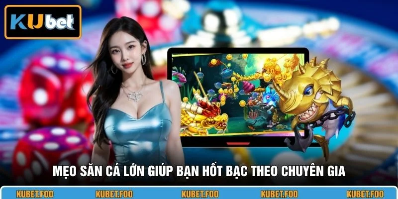 Mẹo săn cá lớn giúp bạn hốt bạc theo chuyên gia