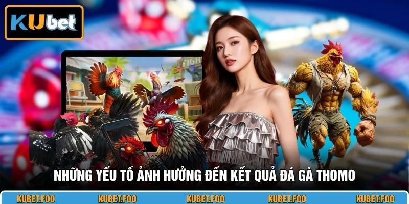 Những yếu tố ảnh hưởng đến kết quả đá gà Thomo