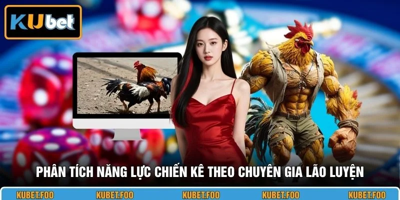 Phân tích năng lực chiến kê theo chuyên gia lão luyện