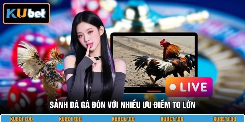 Sảnh đá gà đòn với nhiều ưu điểm to lớn