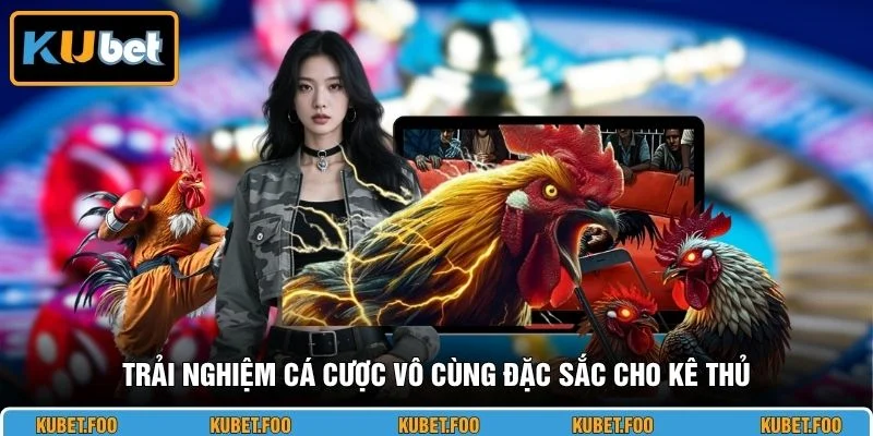 Trải nghiệm cá cược vô cùng đặc sắc cho kê thủ